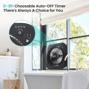 AMACOOL Table Fan, 12 inch Box Fan with 3 Adjustable Speeds & 8HRS Timer, 60° Pivoting Quiet Air Circulator, Desktop Fan for Bedroom Bathroom Kitchen Office, AC Adapter Included-Black