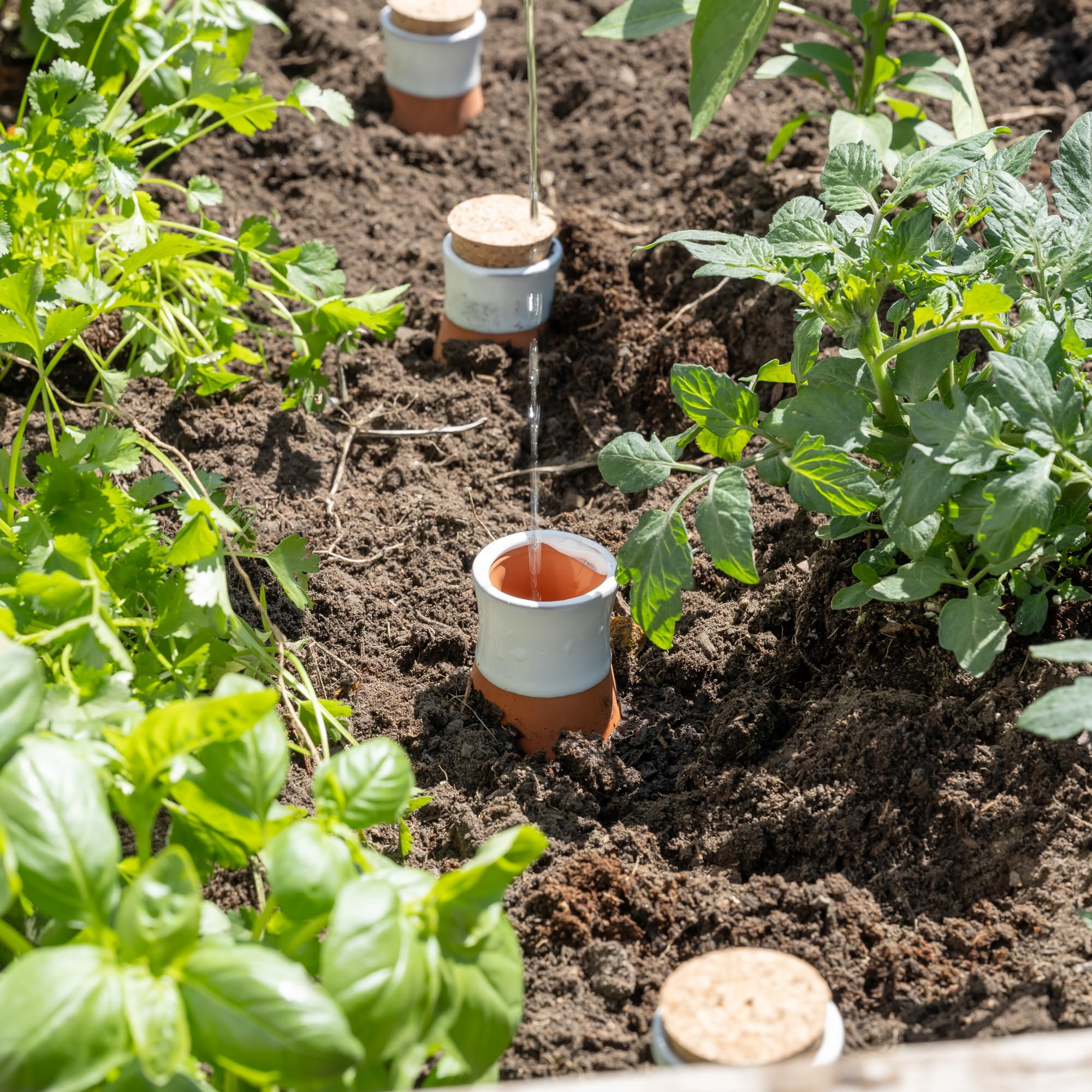 Everbrook Plant Watering Globes - Terracotta Watering Spikes - Slow Release Olla Watering Pots - Holds 16 oz - Self Watering Spikes - Bonus Garden Shears