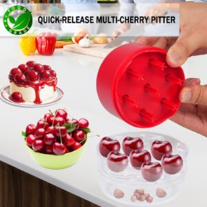 Cherry Pitter, 7-in-1 Cherry Pitter Tool Pit Remover, Heavy-Duty Metal Cherry Seed Remover, 7 Holes Cherry Stoner Pitter Quick Release, Multiple Cherry Pit Remover for Kids/Cherries Jam