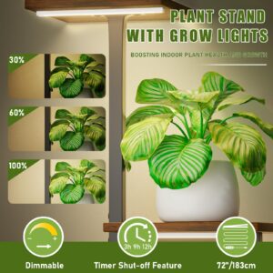 Plant Stand Indoor with Grow Light - 2 Pack Metal Plant Shelf for Indoor Plants Multiple, 5 Tiered Corner Plant Stand Shelves, Plant Rack Display Flower Holder for Living Room Patio Balcony Décor