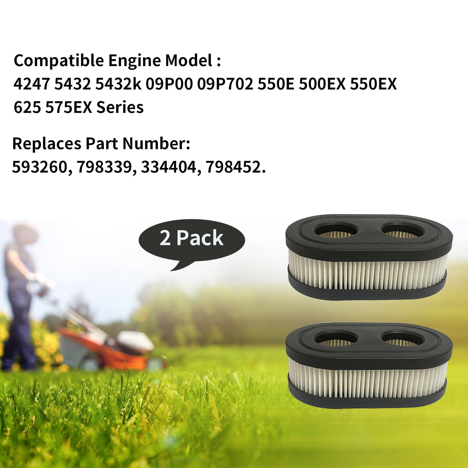 (2 Packs) 593260 Air Filter, Compatible Engine Model 4247 5432 5432k 09P00 09P702 550E 500EX 550EX 625 575EX Series