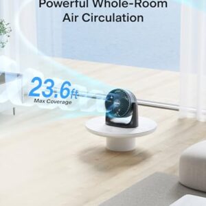 Pelonis 3 Speed Small Room Air Circulator Fan with 7-inch Blade, Table Fan with 100° Adjustable Head Tilt - Desktop Fan for Bedroom,Dorm and Office - Ventilador for Air Conditioner and Heater, Black