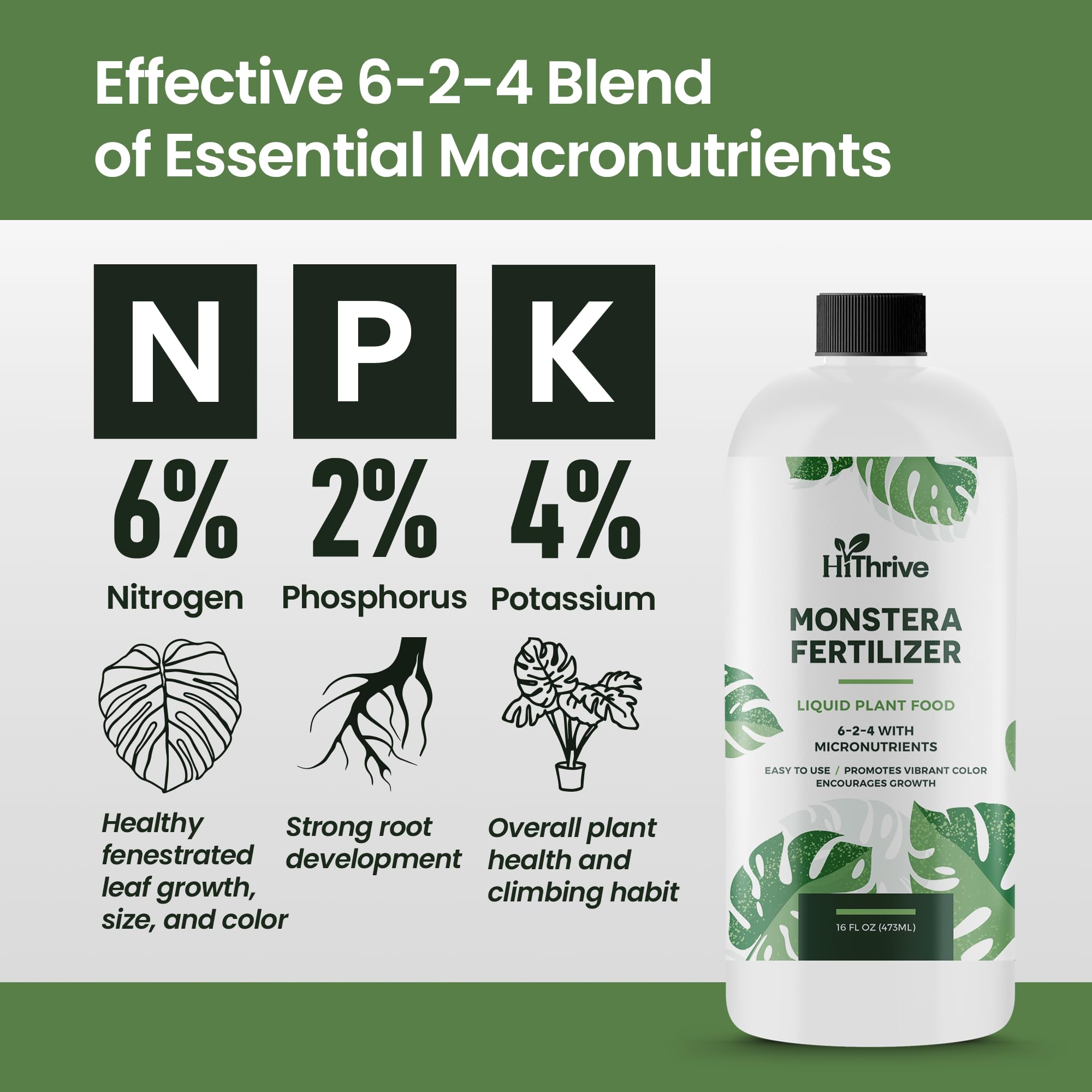 16oz Monstera Plant Food - Makes 96 Gallons of Monstera Fertilizer Indoor & Outdoor Use, Liquid Monstera Plant Fertilizer for Monstera Obliqua, Deliciosa & More, 6-2-4 NPK for Healthy Growth & Leaves