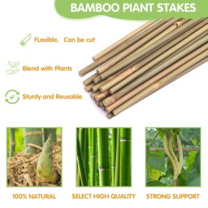 Plant Stakes,4FT Longer Sturdy Natural Bamboo Garden Stakes,GAGINANG 25Pcs Bamboo Sticks Trellis Support for Tomato, Vegetables Beans Trees Climbing Plants