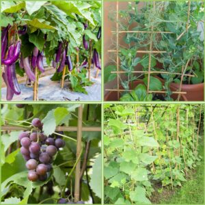 Plant Stakes,4FT Longer Sturdy Natural Bamboo Garden Stakes,GAGINANG 25Pcs Bamboo Sticks Trellis Support for Tomato, Vegetables Beans Trees Climbing Plants