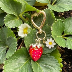 Agromusk Cute Strawberry Keychain,Bag Charms,Kawaii Heart Flower Daisy Key chains Accessories Decor for Girls Purse Gift (Red)