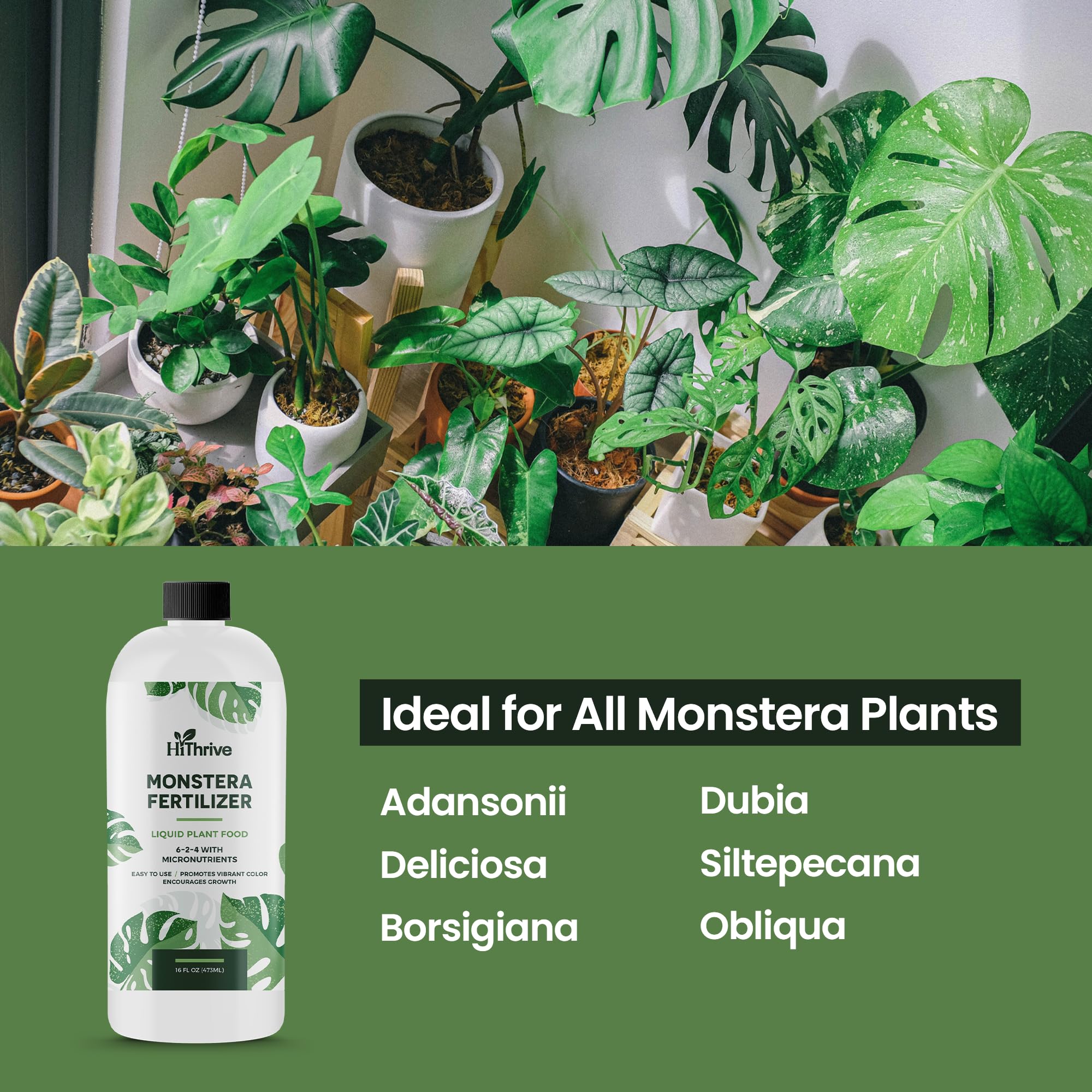 16oz Monstera Plant Food - Makes 96 Gallons of Monstera Fertilizer Indoor & Outdoor Use, Liquid Monstera Plant Fertilizer for Monstera Obliqua, Deliciosa & More, 6-2-4 NPK for Healthy Growth & Leaves