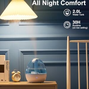 2L Cool Mist Humidifier for Bedroom with Nightlight, 30H Runtime, 360° Nozzle, Auto Shut-Off, Easy to Fill and Clean, Ideal for Home and Baby Nursery