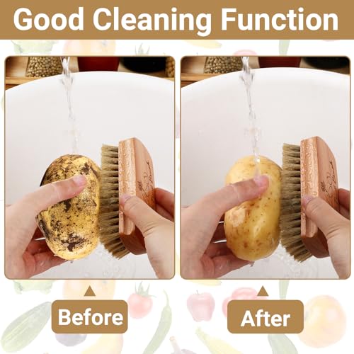 SEPGLITTER Vegetable Brush,Veggie Wash Brushes Potato Brush Cleaning Brush for Potato Carrot Cucumber and Fruits Vegetable Brush Scrubber for Food