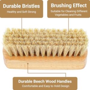 SEPGLITTER Vegetable Brush,Veggie Wash Brushes Potato Brush Cleaning Brush for Potato Carrot Cucumber and Fruits Vegetable Brush Scrubber for Food