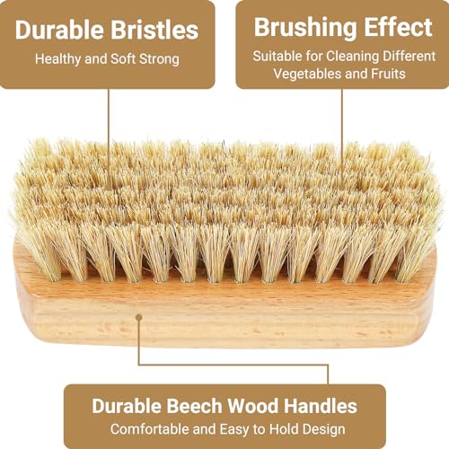 SEPGLITTER Vegetable Brush,Veggie Wash Brushes Potato Brush Cleaning Brush for Potato Carrot Cucumber and Fruits Vegetable Brush Scrubber for Food