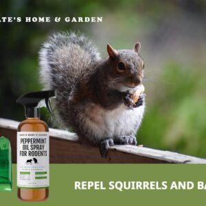 Kate's Home & Garden Peppermint Oil Spray for Rodents, Mice, Squirrels with Humane Trap. Rodent Repellent Indoor for Car Engines & Outdoor (16oz, Non Toxic)