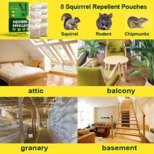 Ksqurelnb Squirrel Repellent Outdoor, Chipmunk Repellent Outdoor for Plants, Squirrel Deterrent, Keep Squirrels Away from Garden, Get Rid of Squirrels, Mint Squirrel Repellents for Attic-8P