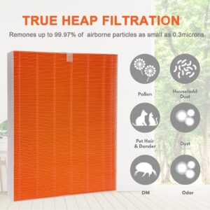 IZSOHHOME Compatible with Winx C555 Air Cleaner Purifier,116131 True HEPA Replacement Filter,H13 Grade True HEPA Filter,Compares to 116131 Filter I (2 Set)