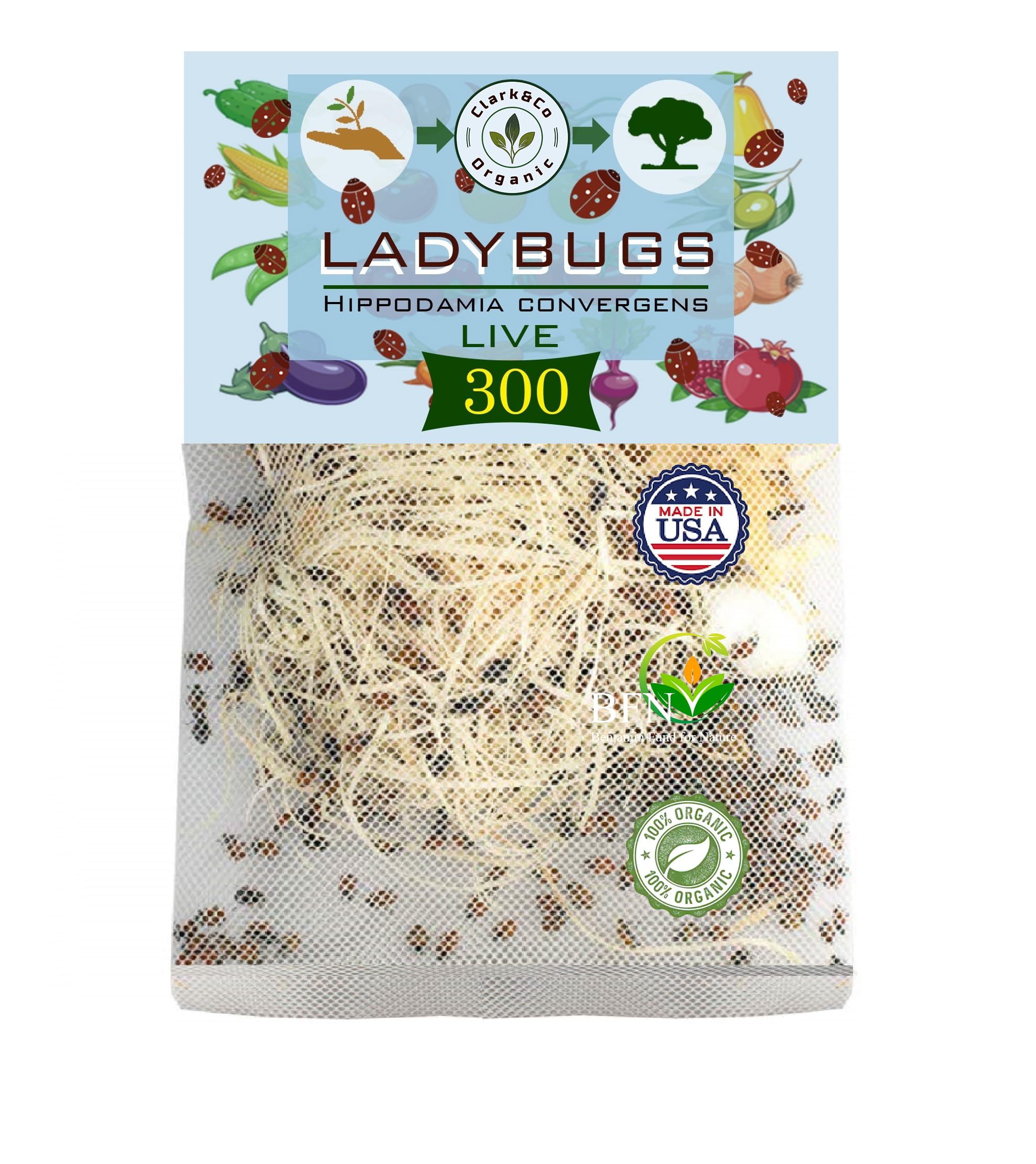 Live Ladybugs - Good Bugs for Garden - Hippodamia Convergens - Guaranteed Live Delivery!… (Ladybugs, 300, Count)