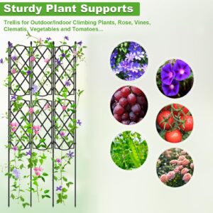 Garden Trellis for Climbing Plants, Deaunbr Plant Support Obelisk Trellis Garden Trellises for Vines, Flowers Stands, Raised Bed, Outdoor & Indoor Potted Plants, Tomato, Rose, Cucumber, Pea, Clematis