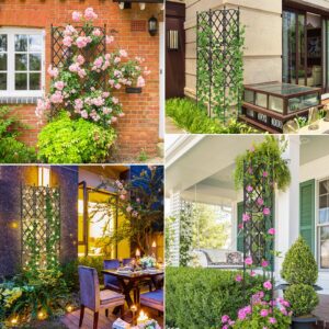 Garden Trellis for Climbing Plants, Deaunbr Plant Support Obelisk Trellis Garden Trellises for Vines, Flowers Stands, Raised Bed, Outdoor & Indoor Potted Plants, Tomato, Rose, Cucumber, Pea, Clematis