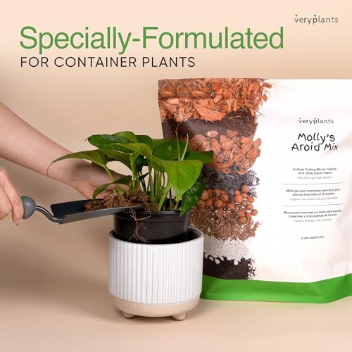 Molly's Aroid Mix - Premium Soilless Chunky Potting Mix for Tropical and Indoor Plants - Contains Orchiata Bark, Coco Chips, Worm Castings, Horticultural Charcoal, Mycorrhizae 10 Dry Quarts (11L)