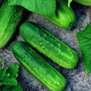 cucumber seeds for planting – 50 non-gmo heirloom garden seeds, plant & grow pioneer hybrid cucumber seeds home outdoor garden – great gardening for abundant harvests, 1 packet