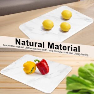 Large Stone Dish Drying Mats for Kitchen Counter, 21.7"(L)×15.8"(W), Quick Dry Super Absorbent Dish Drying Mat, Eco-Friendly Diatomaceous Earth Mat with Non-Slip Pad for Dishes Bottles(White Marble)