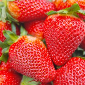 zeshops 200pcs cream strawberry seeds - hardy perennial herb, fall & spring planting, vibrant multi-color harvest (red strawberry)