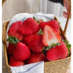 ZEshops 200pcs Cream Strawberry Seeds - Hardy Perennial Herb, Fall & Spring Planting, Vibrant Multi-Color Harvest (Red Strawberry)