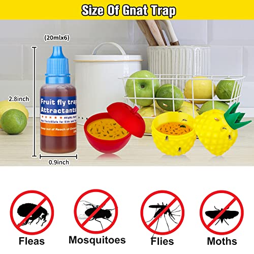 Protecker Fruit Fly Trap Refill Liquid Only,Fruit Fly Traps for Indoors,Fruit Fly Refill Liquid,Ready-to-Use Fruit Fly Trap Bait Refill,Gnat Trap Killer for Home Kitchen Plant(6 Pack)