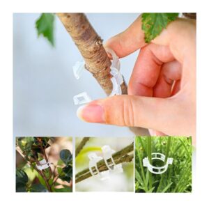 secured plastic plant clip, 2024 upgrade plant support clips, garden clips for climbing plants, tomato clips, plastic trellis clips plant support clips，plastic trellis clips plant support clips grape