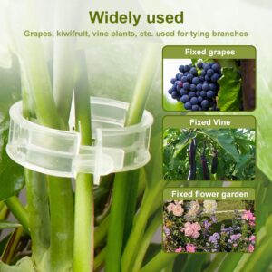 Plant Support Clips Green Garden Clips,Plant Clips for Climbing Plants Clear Plant Clips,Garden Clips Plant Support Clips Plant Support Garden Clips Vine Clip Gadget for Plants (green/100pcs)