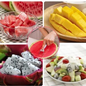 2-in-1 Stainless Steel Fruit Cutter, 2024 New Watermelon Fork Slicer Cutter Slicer Tool, Dual Head Fruit Forks Slicer Knife(1PCS)