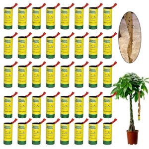 40 pack fly strips indoor sticky hanging, fly paper fly traps indoors outdoor, fly tape catcher ribbon for home, fruit fly gnat trap killer