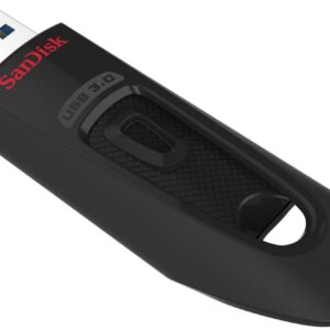 SanDisk 16GB Ultra 130MB/s USB 3.0 Flash Drive SDCZ48-016G Bundle with (1) GoRAM Black Lanyard (16GB, 10 Pack)