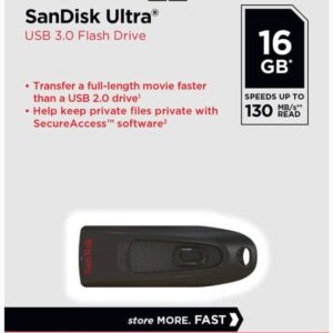 SanDisk 16GB Ultra 130MB/s USB 3.0 Flash Drive SDCZ48-016G Bundle with (1) GoRAM Black Lanyard (16GB, 10 Pack)