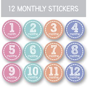 Baby Monthly Stickers Girl Milestone Month - Newborn Infant Shower Gift Keepsake (Set of 36)