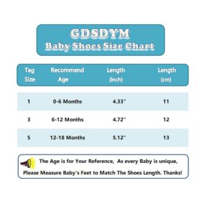 GDSDYM Infant Baby Girls Summer Sandals with Flowers Soft Sole Newborn Princess First Walker Crib Wedding Dress Shoes