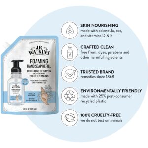 J.R. Watkins Foaming Hand Soap Refill, Moisturizing Foam Hand Wash, All Natural, Alcohol-Free, Cruelty-Free, USA Made, Ocean Breeze, 28 fl oz, 3 Pack