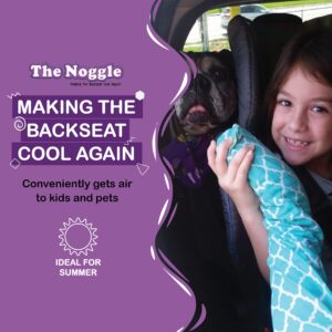 NOGGLE, 6ft - Kids Personal Air Conditioning System, Made in USA, Directs Cool Air to Children in The Backseat - Air Conditioning Vent Hose for Vehicles, Making The Back Seat Cool Again - Grey