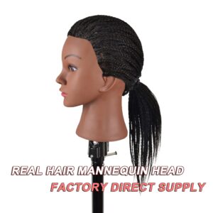 Mannequin Head with Human Hair 14"Manikin Head 100% Real Hair Mannequin Head Human Hair Trainning Head Doll Head Doll Head for Practice Styling with Free Clamp Holder (B14)