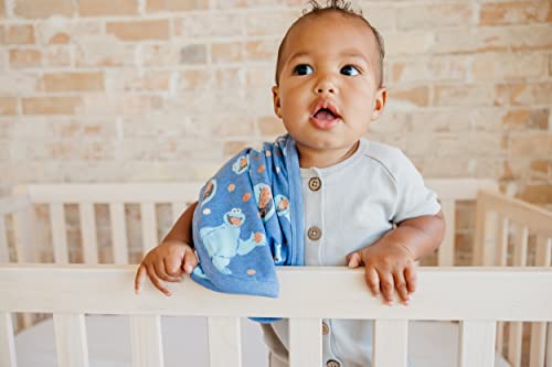 Copper Pearl Baby Security Blanket Set of 2 - Portable Size for Self-Soothing On-The-Go, Ideal Baby Blankets for Boys and Girls, Ultra-Soft, and Gift-Ready Loveys - Cookie Monster