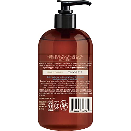 Soapbox Liquid Hand Soap Sea Minerals & Blue Iris 12 Oz Pump Bottles 77148, 12 Fl Oz (Pack of 1)