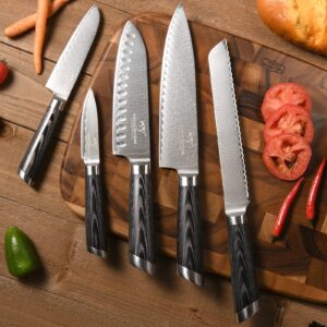 NANFANG BROTHERS Damascus Knife Set with Block,Japanese Knife Set,Chefs Knife Sets Professional,7 Pieces,with Block,Chef Knife,Bread Knife & Santoku Knife,Paring Knife,Shears