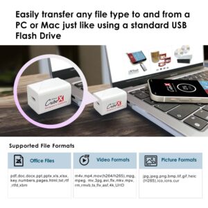 PioData iXflash Cube 128 GB Photo Storage Device Apple MFi Certified USB Type C with Quick Charge for iPhone & iPad, Auto Backup Photos & Videos, USB C Flash Drive