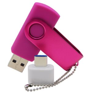 Chauuxee 4GB USB Flash Drives Memory Sticks U Disk Thumb Drive Pen Drives for Pupil Students' Presents&Teachers' Gifts (Pink)