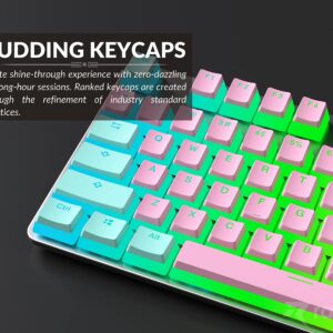 Ranked Pudding v2 PBT Keycaps | 145 Double Shot Translucent ANSI US & ISO Layout | OEM Profile for Full Size, TKL, 75%, 65% and 60% RGB Mechanical Gaming Keyboard (Miami Vice)