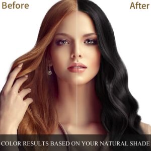 Ivnil Meidu Black Hair Dye Shampoo 3 in 1 Champu Para Canas Mujer Gray Hair Coverage for Women & Men Herbal Natural Plant Hair Dye Shampoo 500ml