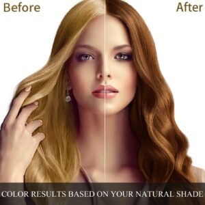 Ivnil Meidu Dark Brown Hair Dye Shampoo 3 in 1 Color for Grey Coverage Seimi Permanent Instant Champu Para Canas Mujer for Women/Men - Herbal Ingredients Natural Plant