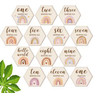 13 pcs wooden baby shower milestone blocks cards wood baby shower month signs discs boho double side print marker gift photo prop disc set birth announcement for baby shower newborn(rainbow)