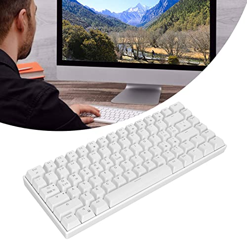 Gaming Keyboard, Wired Type C Mechanical Keyboard 82 Keys Ergonomic Design for Desktop Computer for