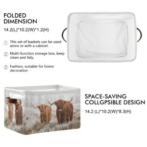 Scottish Highland Cow Storage Basket Fabric Storage Bin Baskets Bull Farmhouse Funny Animal Foldable Storage Boxes Bag for Baby Cloth Dog Toy Book Storage Cubes Shelf Closet Basket 16×12×8 Inches