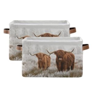 Scottish Highland Cow Storage Basket Fabric Storage Bin Baskets Bull Farmhouse Funny Animal Foldable Storage Boxes Bag for Baby Cloth Dog Toy Book Storage Cubes Shelf Closet Basket 16×12×8 Inches